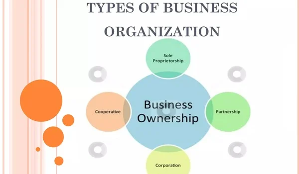 Types of Business Organizations in India